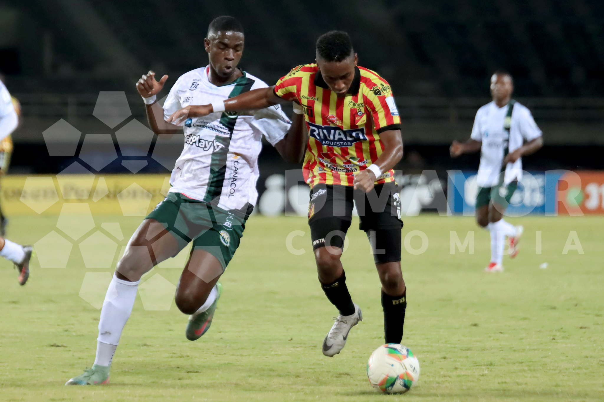 DEPORTIVO PEREIRA VS. REAL CUNDINAMARCA - Dimayor